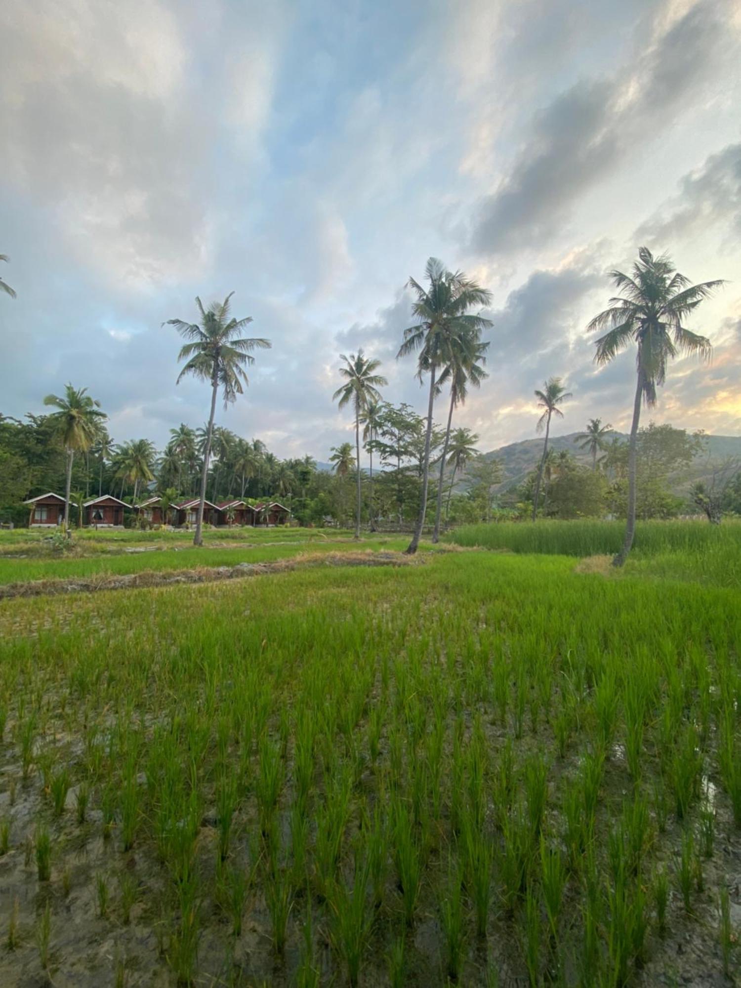 Nuna Bungalows Riung Buitenkant foto