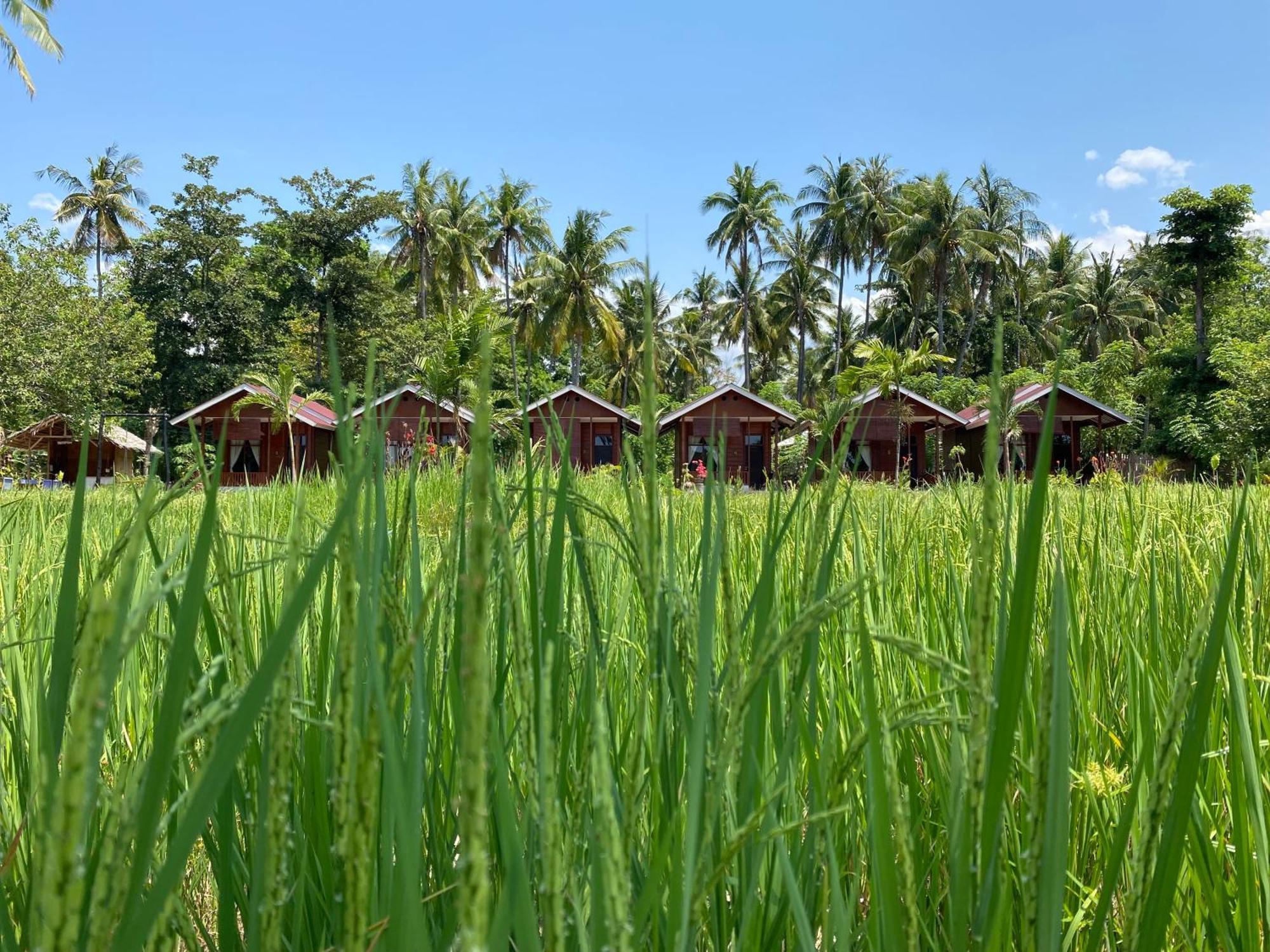 Nuna Bungalows Riung Buitenkant foto